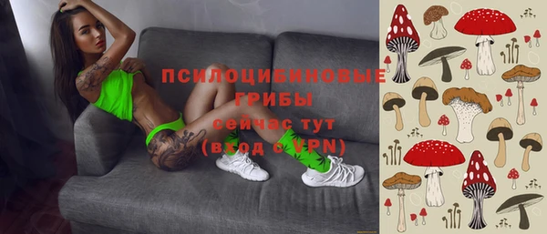 крисы Верхний Тагил
