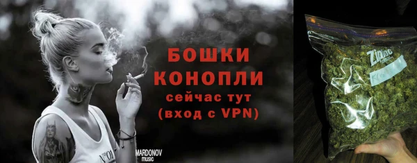 крисы Верхний Тагил