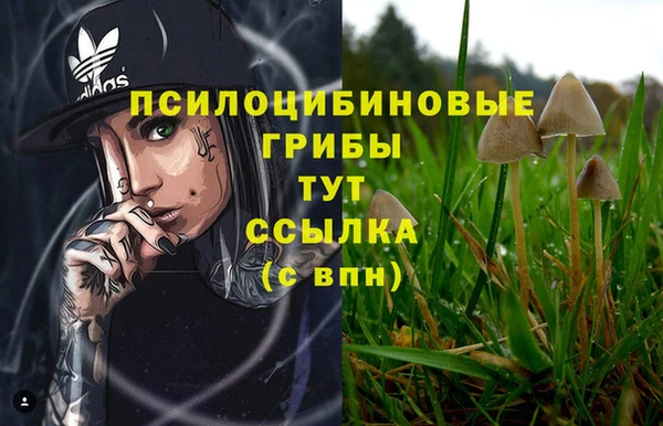крисы Верхний Тагил