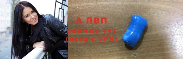 крисы Верхний Тагил