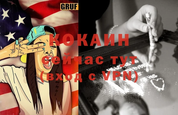 крисы Верхний Тагил
