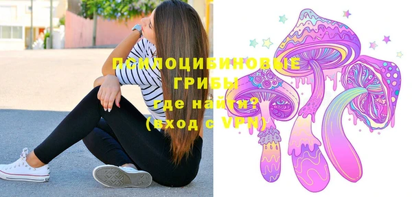 молекула духа Верея