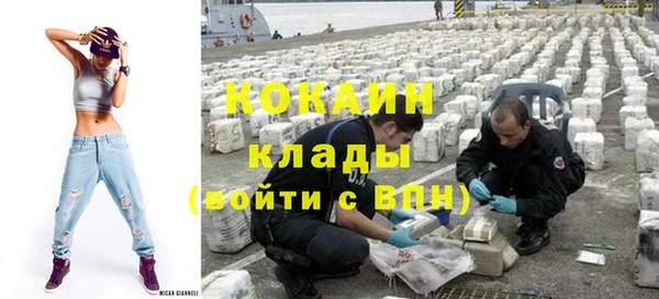 крисы Верхний Тагил