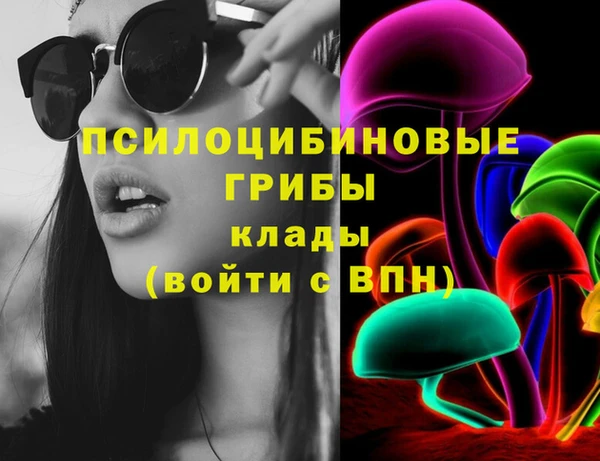 крисы Верхний Тагил