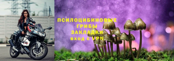 крисы Верхний Тагил