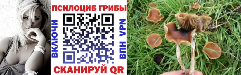 hydra ссылки  Петрозаводск  Галлюциногенные грибы Magic Shrooms 
