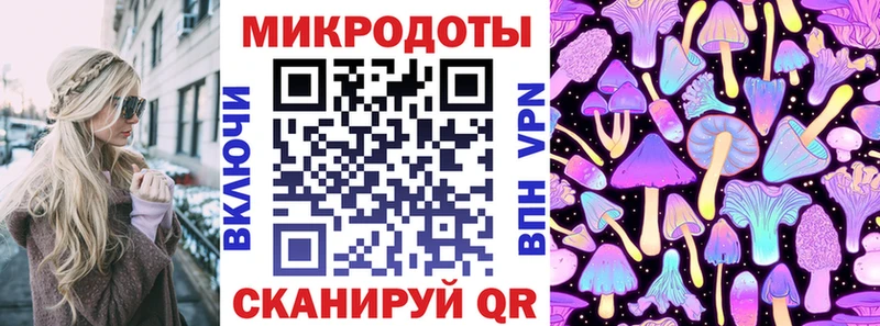 Псилоцибиновые грибы мицелий Петрозаводск